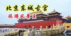 狂搡骚逼穴视频中国北京-东城古宫旅游风景区